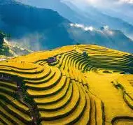 Willfresh/ComboItem2